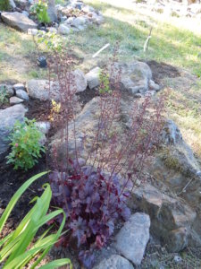 DSCN0903.JPG
