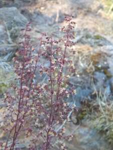 DSCN0904.JPG