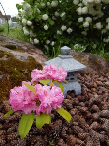 DSCN0463.JPG