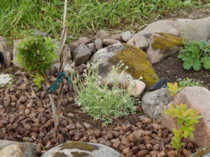 DSCN0507.JPG