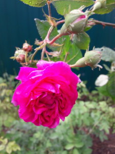 20190627_113648.jpg