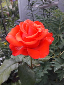 20190626_151803.jpg