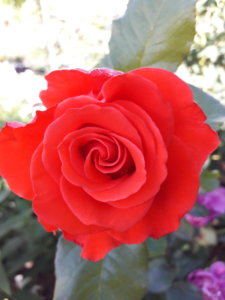 20190625_101139.jpg