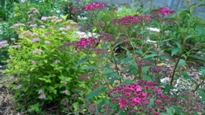 WP_20190626_11_41_34_Pro_LI.jpg
