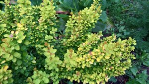 WP_20190627_14_37_49_Pro_LI.jpg