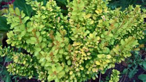 WP_20190627_14_38_02_Pro_LI.jpg