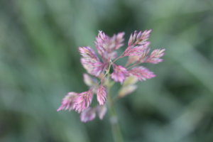 IMG_7682.JPG
