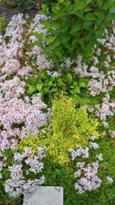 WP_20190627_14_27_07_Pro_LI.jpg