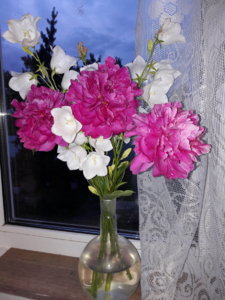 20190627_221952.jpg