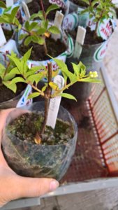 WP_20190629_13_56_42_Pro_LI.jpg