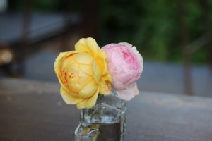 IMG_8582.JPG