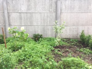 240129AA-BA35-4AF3-8451-C4CBD6BC6302.jpeg