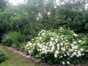 IMG_20190629_211721.jpg
