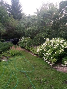 IMG_20180713_210454.jpg