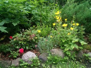 IMG_20190629_211654.jpg