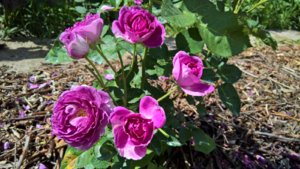 WP_20190701_10_39_40_Pro_LI.jpg