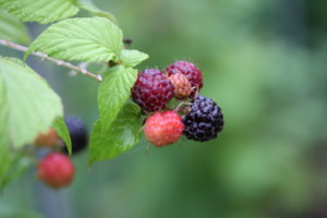 IMG_8442.JPG