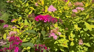 WP_20190702_09_50_02_Pro_LI.jpg