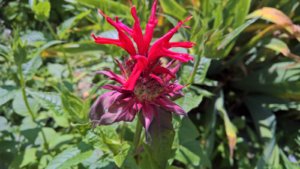 WP_20190703_10_36_20_Pro_LI.jpg