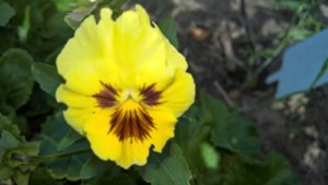 WP_20190702_10_06_38_Pro_LI.jpg
