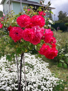 20190703_151652.jpg