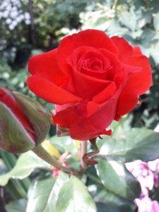 20190703_151845.jpg
