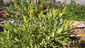 WP_20190704_06_49_43_Pro_LI.jpg