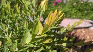 WP_20190704_06_49_58_Pro_LI.jpg