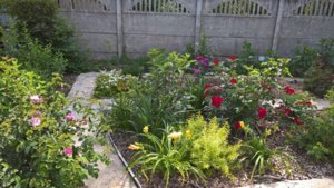WP_20190704_14_14_50_Pro.jpg