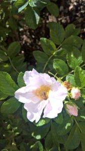WP_20190702_09_55_11_Pro_LI.jpg