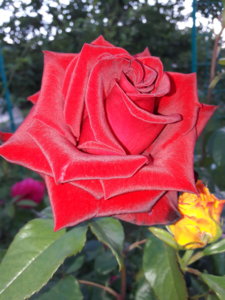 20190704_214231.jpg