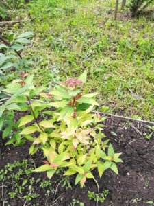 IMG_20190630_084501.jpg