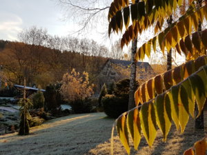 20171020_082510.jpg