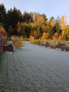 20171020_090011.jpg