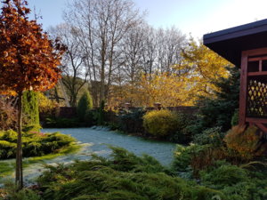 20171020_103834.jpg