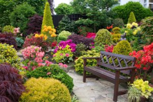 beautiful-flowers-garden-3.jpg