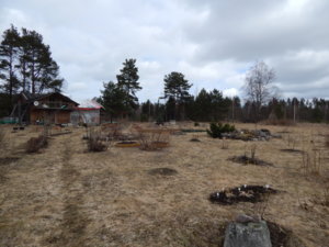 DSCN0530.JPG