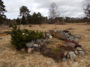 DSCN0532.JPG