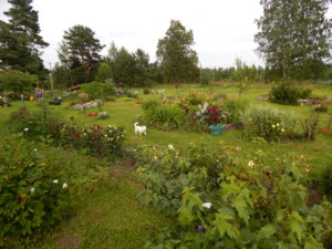 DSCN2503.JPG