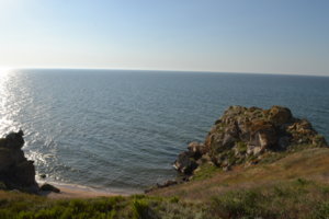 DSC_0440.JPG