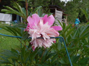 DSCN2442.JPG
