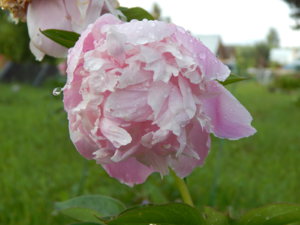 DSCN2443.JPG