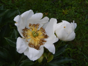 DSCN2619.JPG