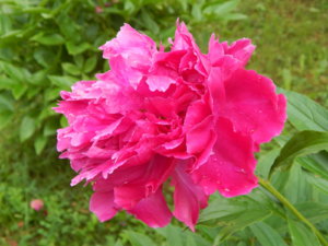 DSCN2623.JPG