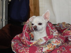 DSCN2664.JPG
