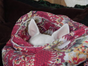 DSCN2670.JPG