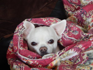 DSCN2671.JPG
