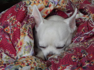 DSCN2672.JPG
