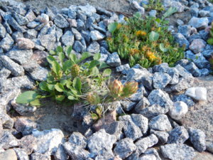 DSCN0862.JPG