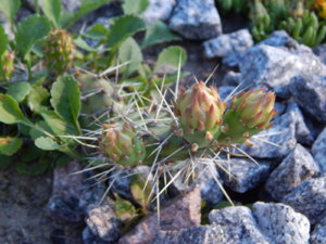 DSCN0863.JPG